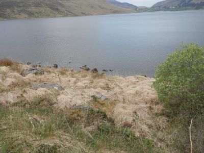 20160512_012.JPG