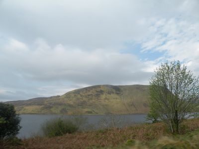 20160512_013.JPG