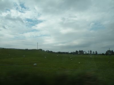 20160512_017.JPG