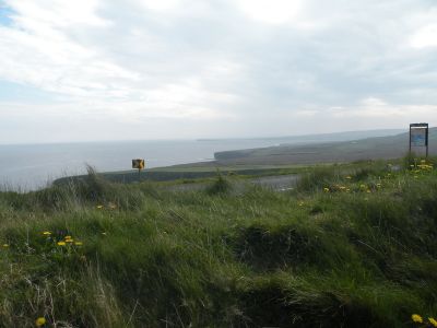 20160512_032.JPG