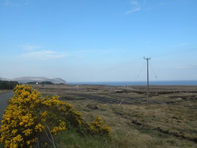 20160512_048.JPG