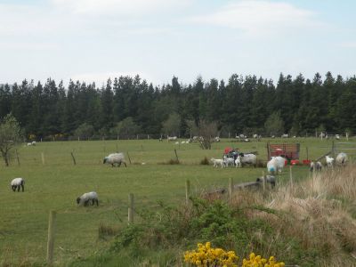 20160512_059.JPG