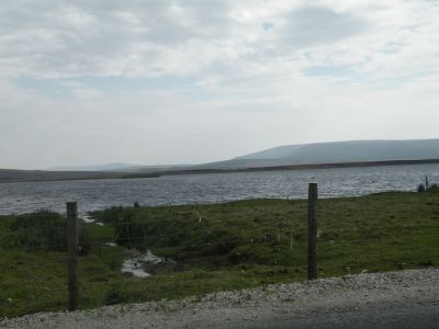 20160512_068.JPG