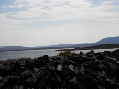 20160512_072.JPG