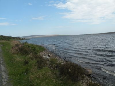 20160512_075.JPG