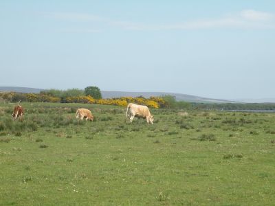 20160512_078.JPG