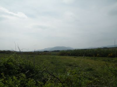 20160512_099.JPG
