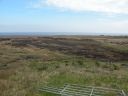 20160512_047.JPG