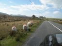 20160512_057.JPG