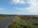 20160512_073.JPG
