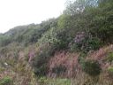 20160512_074.JPG