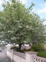 20160512_086.JPG