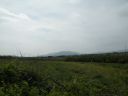 20160512_099.JPG