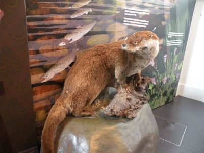 20160512_101.JPG