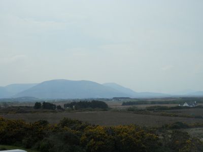 20160512_107.JPG