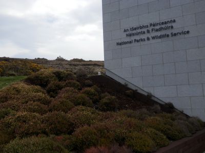 20160512_109.JPG