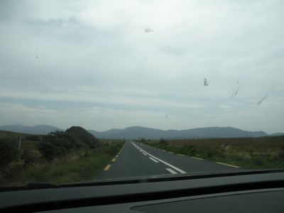 20160512_110.JPG