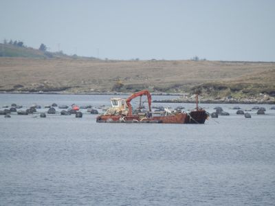 20160512_115.JPG