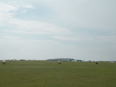 20160512_136.JPG