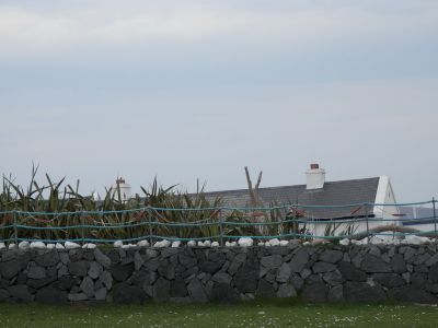 20160512_144.JPG