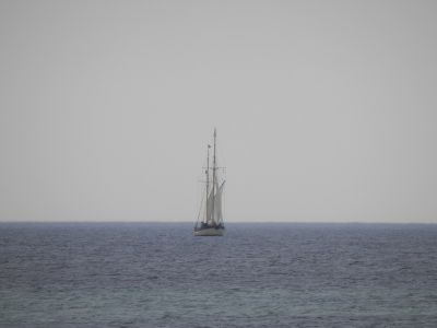 20160512_158.JPG