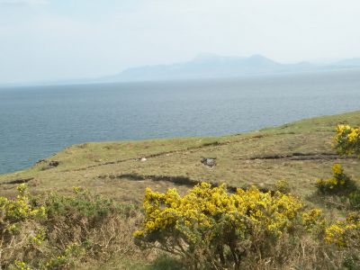 20160512_176.JPG