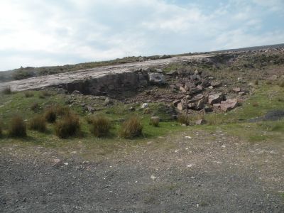 20160512_178.JPG