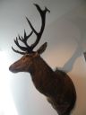 20160512_106.JPG