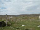 20160512_171.JPG