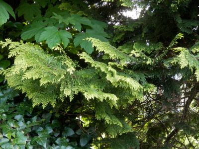 20160512_209.JPG
