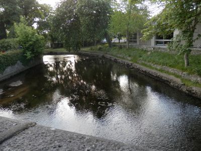 20160512_214.JPG