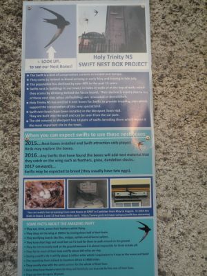 20160512_246.JPG