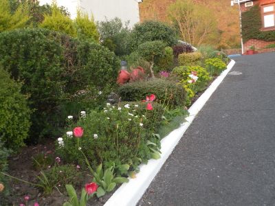 20160512_253.JPG
