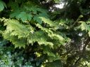 20160512_209.JPG