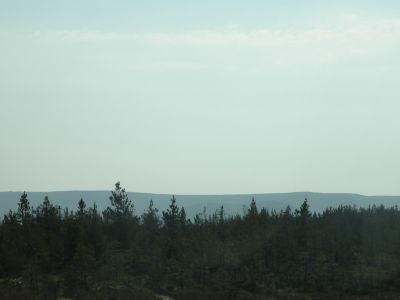 20160513_018.JPG