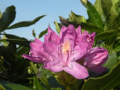 20160513_029.JPG