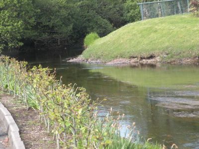20160513_072.JPG