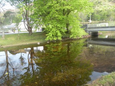 20160513_073.JPG