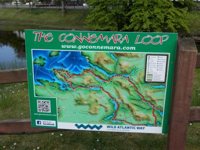 20160513_076.JPG