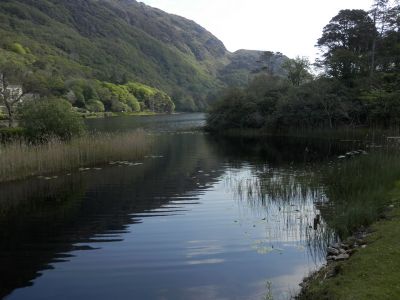 20160513_080.JPG