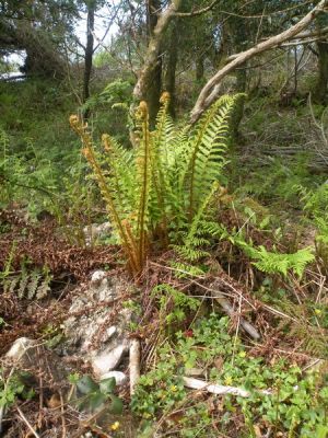 20160513_087.JPG