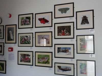 20160513_092.JPG