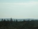 20160513_018.JPG