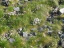 20160513_054.JPG