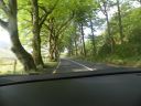 20160513_067.JPG