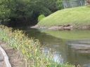 20160513_072.JPG
