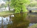 20160513_073.JPG