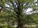 20160513_088.JPG