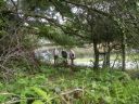 20160513_089.JPG
