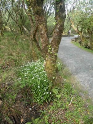 20160513_120.JPG